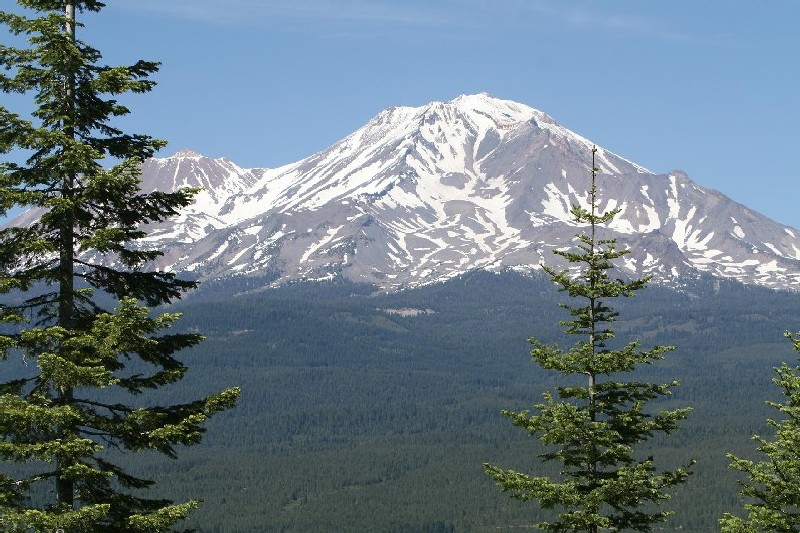 California Timberland, Mt. Shasta